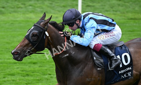 220825-152 Asfoora - Race 4 3.35pm Coolmore Wootton Bassett Nunthorpe Stakes
