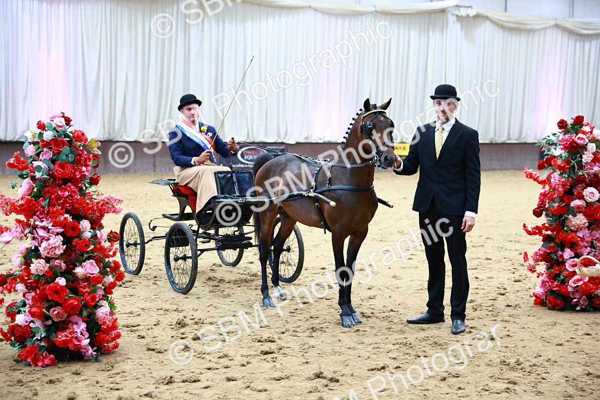 SBM_000693 - Class 9 - HHS Championship Intl Hackney Pony to a Showwagon