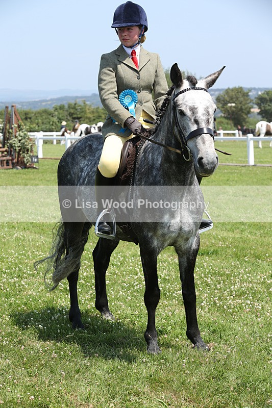 JPP_2952 - Class 21: Working Hunter 60cm