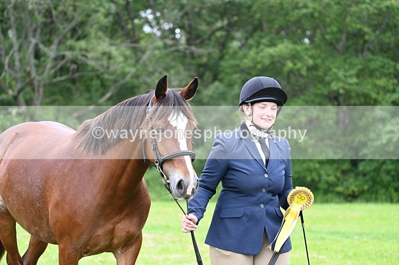 WJ7_4600 - Class 14B Prettiest Mare