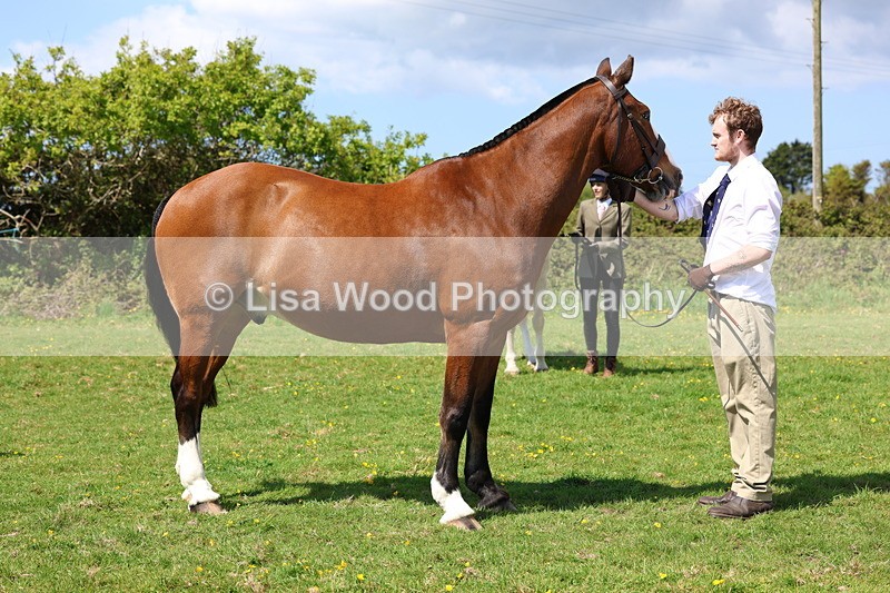 3E7A0357 - Class 19: Best Coloured in Hand