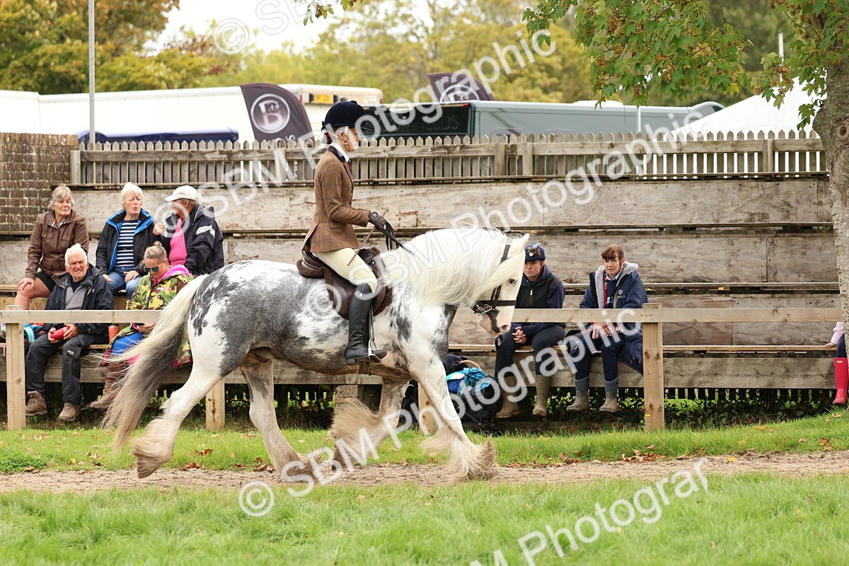 SBM_64408 - S58 - Coloured Pony Ridden