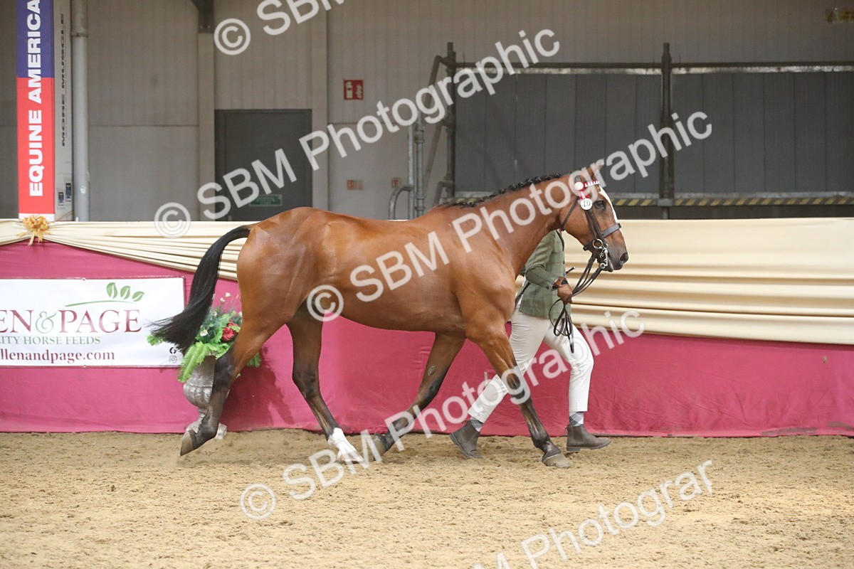 SBM_05505 - Class 9R - Regional IH Pre-Vet