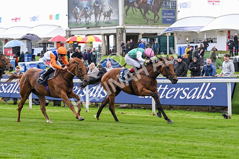 130526-Race 5-Legacy Link-3255 - Race 5 4.05pm Tattersalls Musidora Stakes