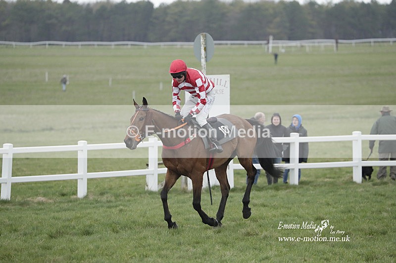 PtP 260323 0616 - New Forest Hounds Point-to-Point Larkhill 26/03/23