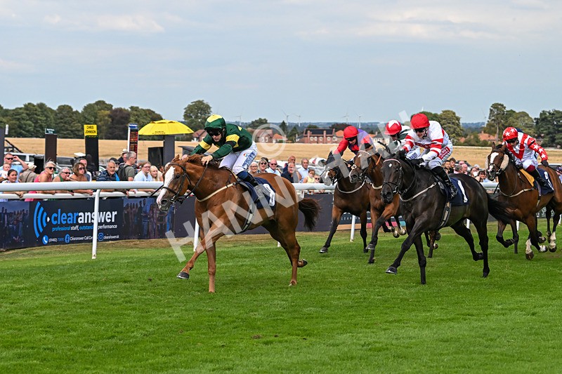 130825-Race 4-Rock Of England-1243 - Race 4