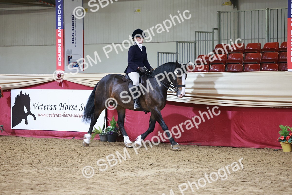 SBM_18535 - Class 952 - M&M Ridden Supreme Final