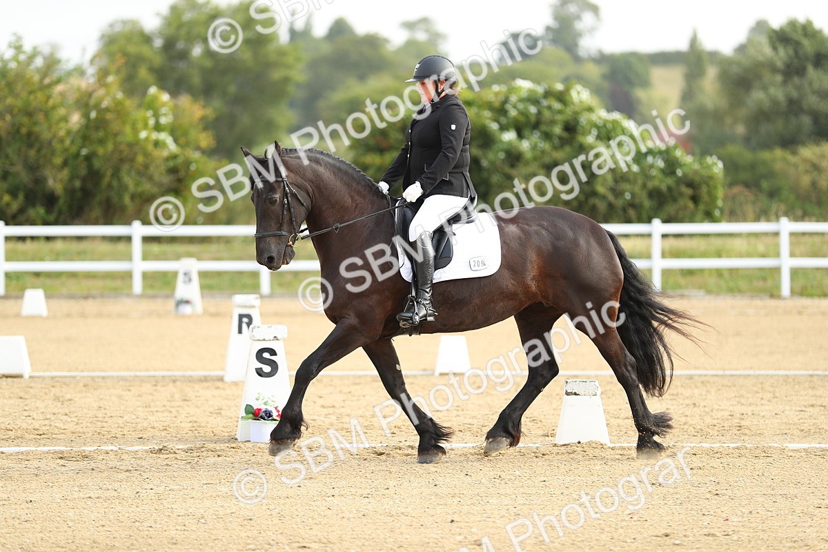 SBM_015036 - Class 13 - Novice 23 - 8,30-9.33