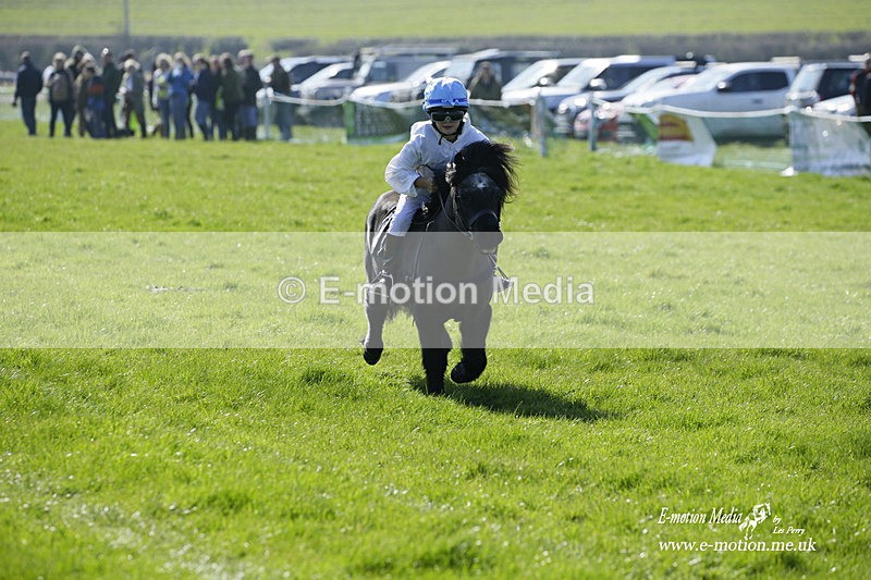 PtP 190322 38 - Wilton Hunt PtP Milborne St Andrew 19/03/22