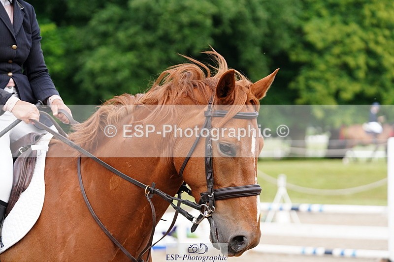 250615A-081904-09598 - Class 42 85cm Amateur Qualifer