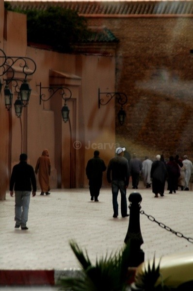 Meditation - Marrakesh III