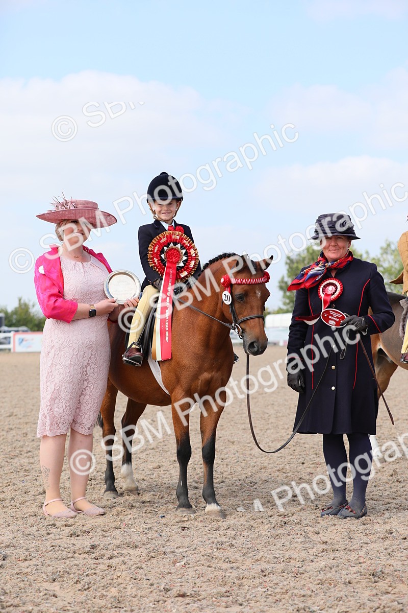 SBM_14090 - Class 309 Lead Rein Pony