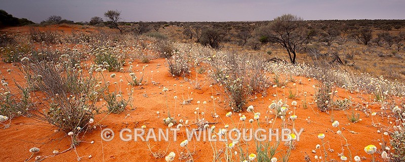  - Australia