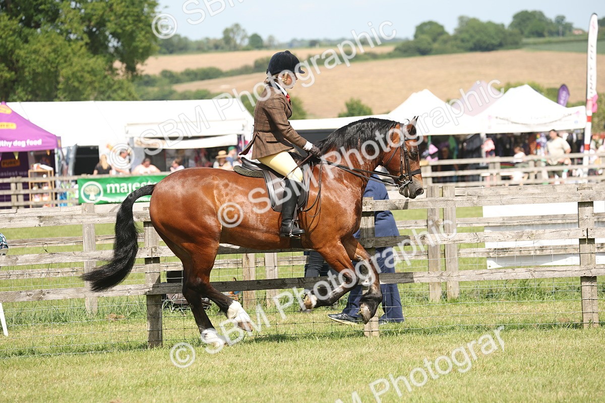 SBM_07683 - Class 26-30 - Mountain and Moorland Ridden