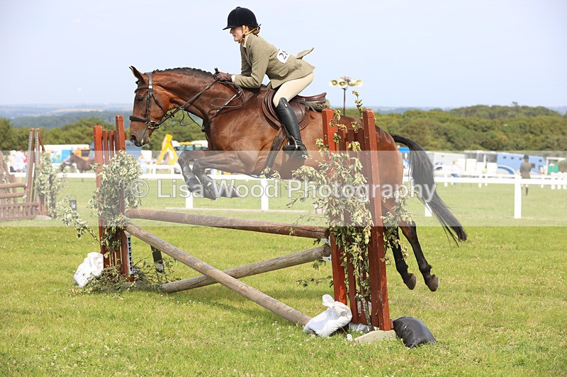 JPP_4067 - Class 24: Working Hunter 90cm