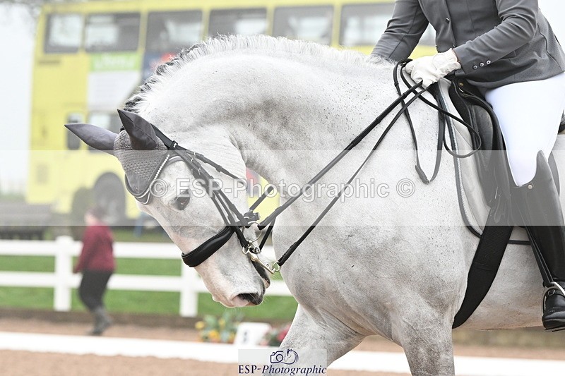 240217A-111159-01598 - 133-Katharine.Lewis-SLS.Maurits