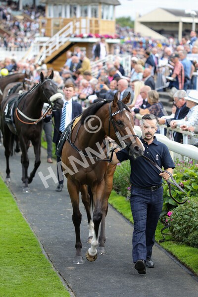 yr17082022r6-3 - Race 6 4.45 pm Celebrate ITM’s 200th IRE Voucher Winner Stakes