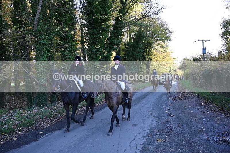 WJ6_9735 - Walk Home