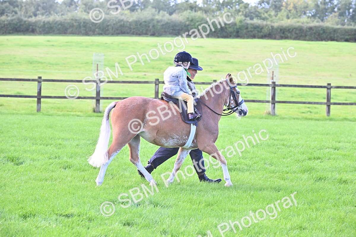 SBM_36538 - S18 - Novice & Newcomer Lead Rein Pony