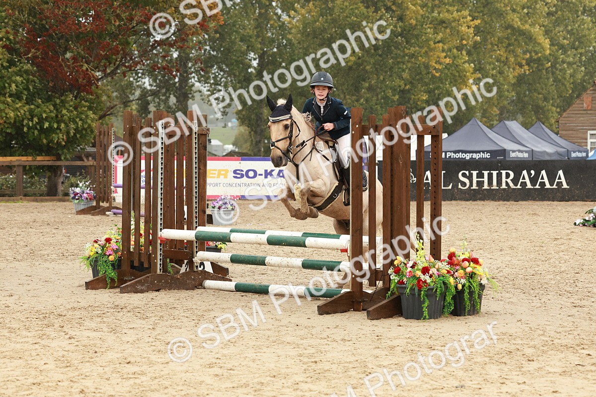 SBM_73300 - Supreme Championship Junior Pony 60cm & 65cm