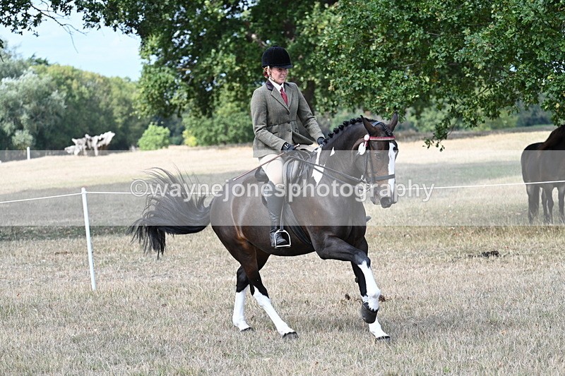 WJ7_6051 - Class 13 Ridden Veterans