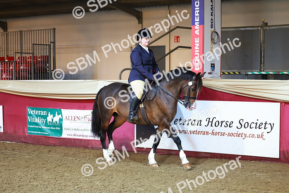 SBM_14668 - Class C - Novelty champ