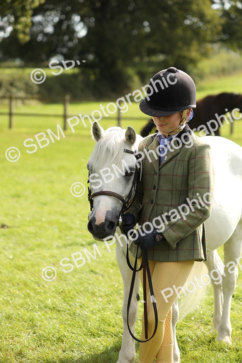 SBM_68555 - S40 - Junior Handler 9-12 Years