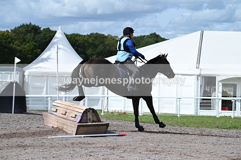 WJ7_1881 - Time 13:17 to 13:53