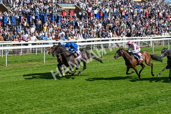 160525-Race 4-Rebels Romance-6715 - Race 4 3.45pm Boodles Yorkshire Cup Stakes