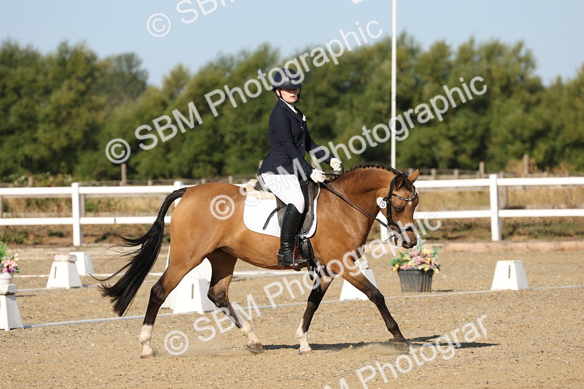 SBM_012602 - Class 1 - P5 Bronze 9.00.10.12