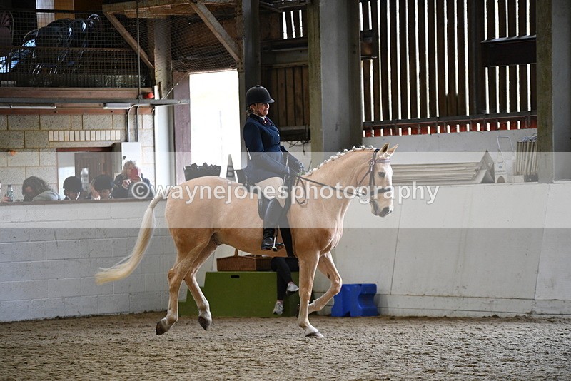 WJ5_6119 - Class 9 Ridden Veteran