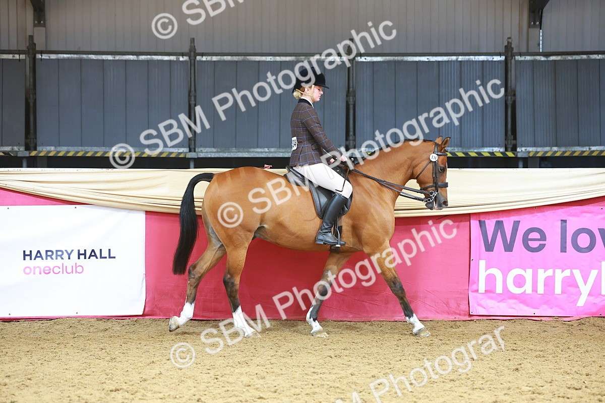 SBM_12401 - Class 103 - HOYS Veteran Qualifier - Ridden Pre Vet