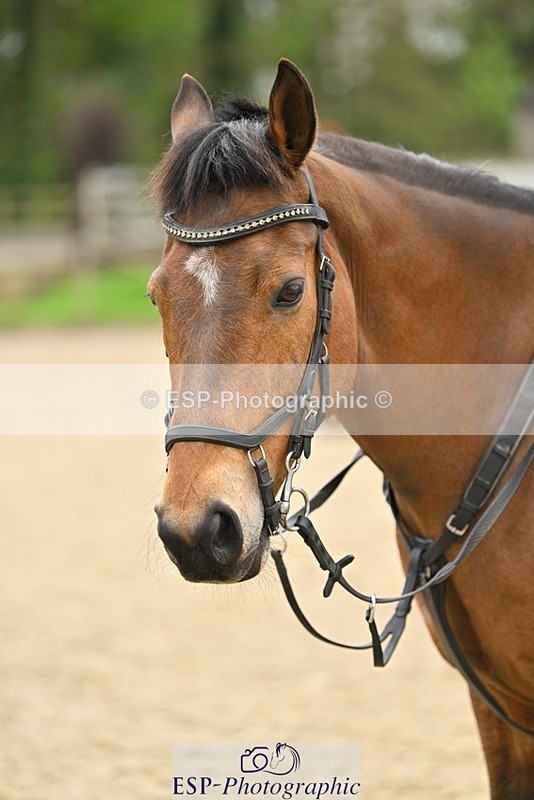 240411-114526-01115 - Group 4 XC