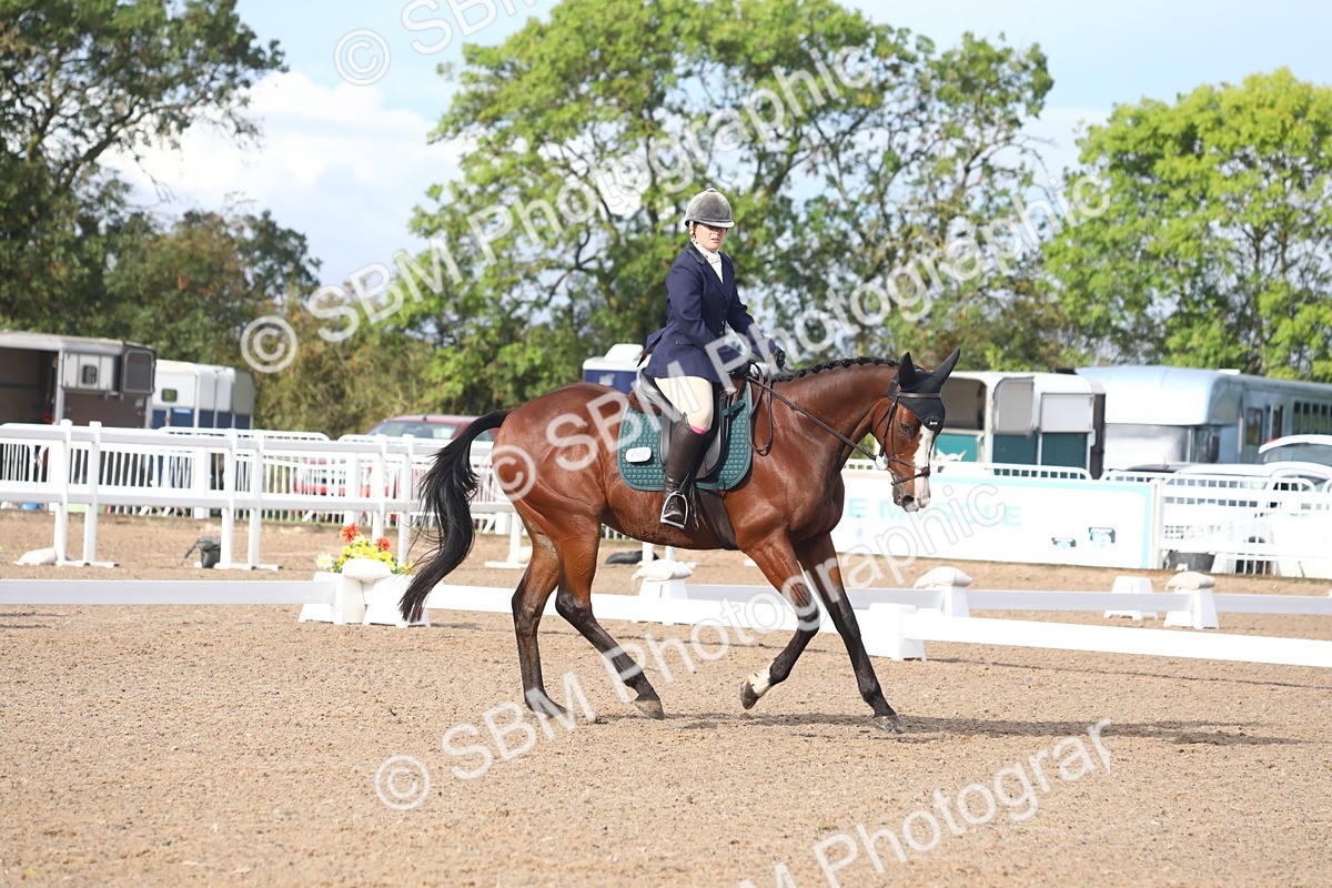 SBM_00196