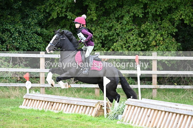 WJ7_7296 - 40cm Time 10:06 to 10:24