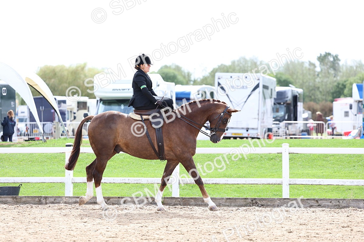 SBM_03294 - Class 23 - SSA Classical (any age)