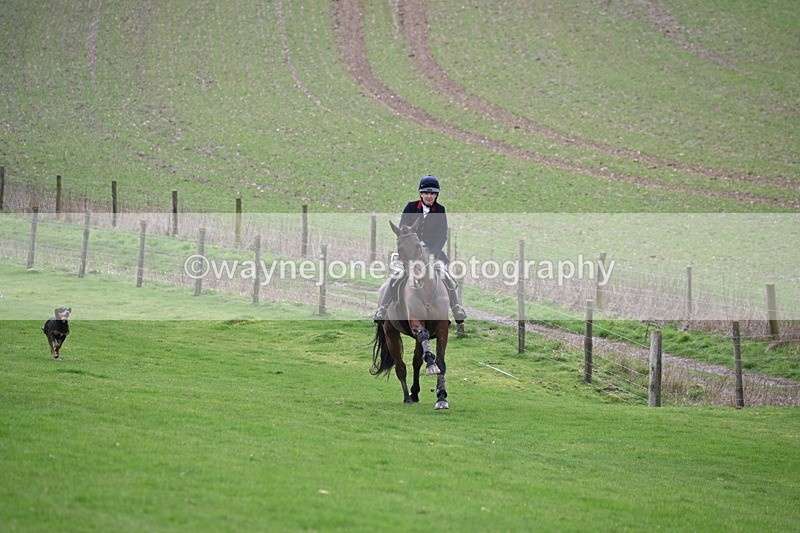 WJ6_8991 - Line Three