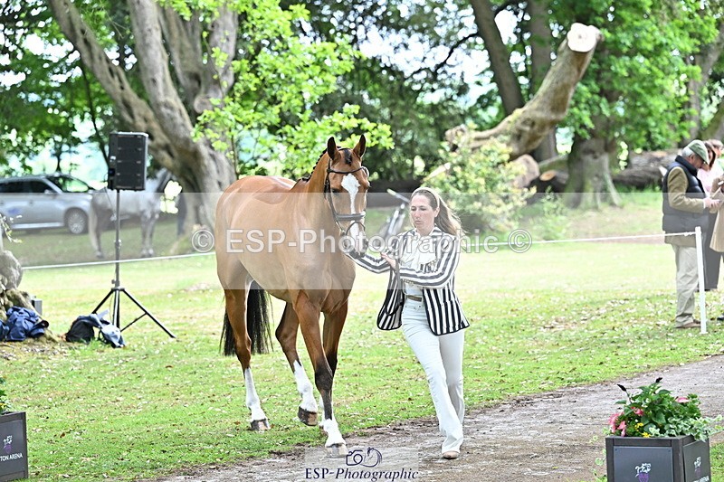 250521A-152907-00538 - B-321-Laura.Collett-BALANCERO