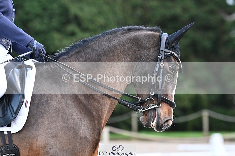 231110-145017-02048 - Cls 8 Medium 75Q