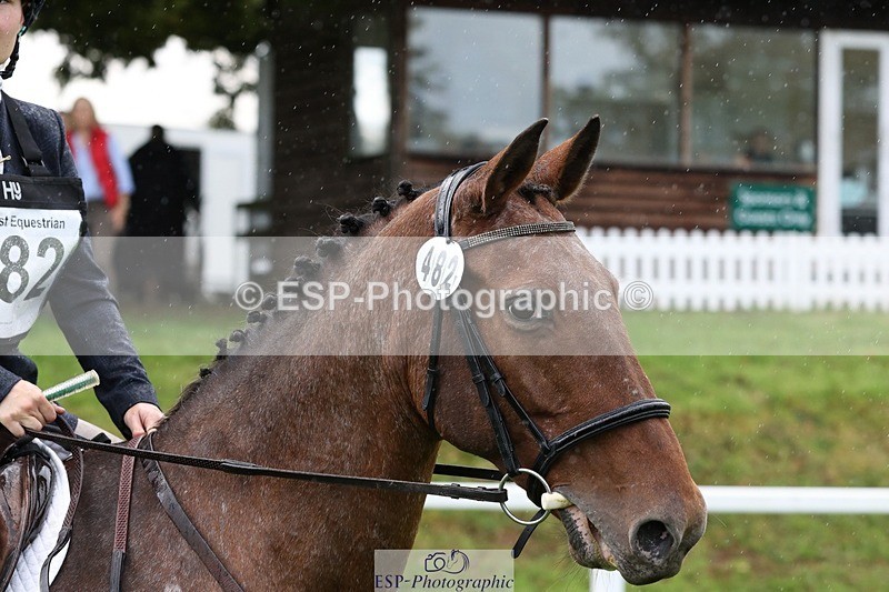 231022-133145-27753 - 482-ODDSPOT.VITAL.ELEMENT-Danielle.Davies-TrotUp+SJ