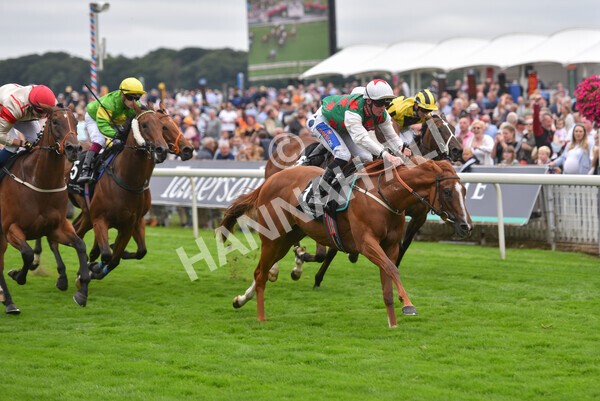 yr18082021r6-22 - Race 6 4.45pm IRE-Incentive It Pays To Buy Irish Stakes