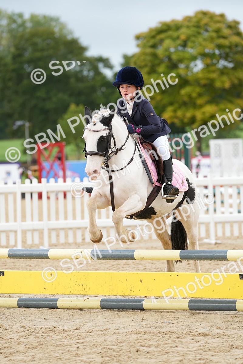 SBM_32471 - J5 - Junior Pony 50cm Championship