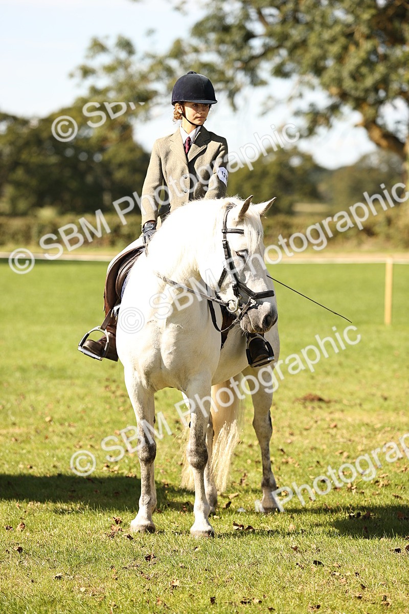 SBM_19179 - S3 - TSR Ridden Pony Showing