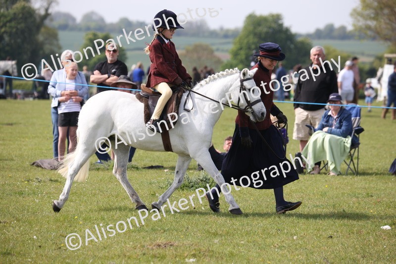 20260426-2563 - Class 31 - Leading Rein