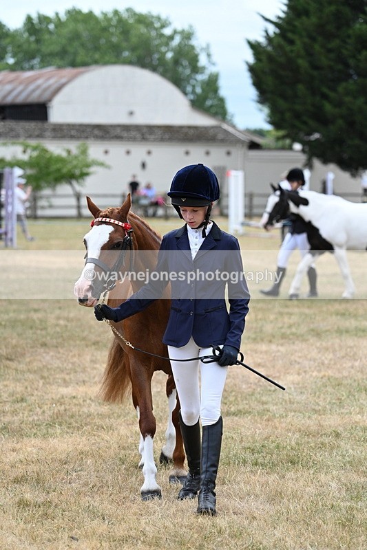 WJ7_1414 - Class 4 Prettiest Mare up to 14.2hh in hand