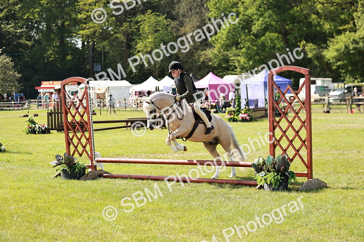 SBM_12669 - Class 106-107 - BSPS LIHS Working Sports Pony