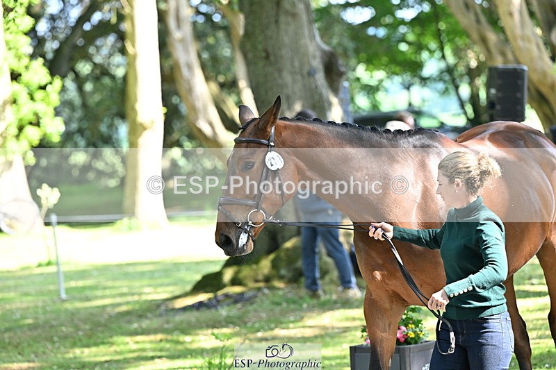 250521A-160502-00905 - C-271-Kirsty.Chabert-OPPOSITION.HELIOS