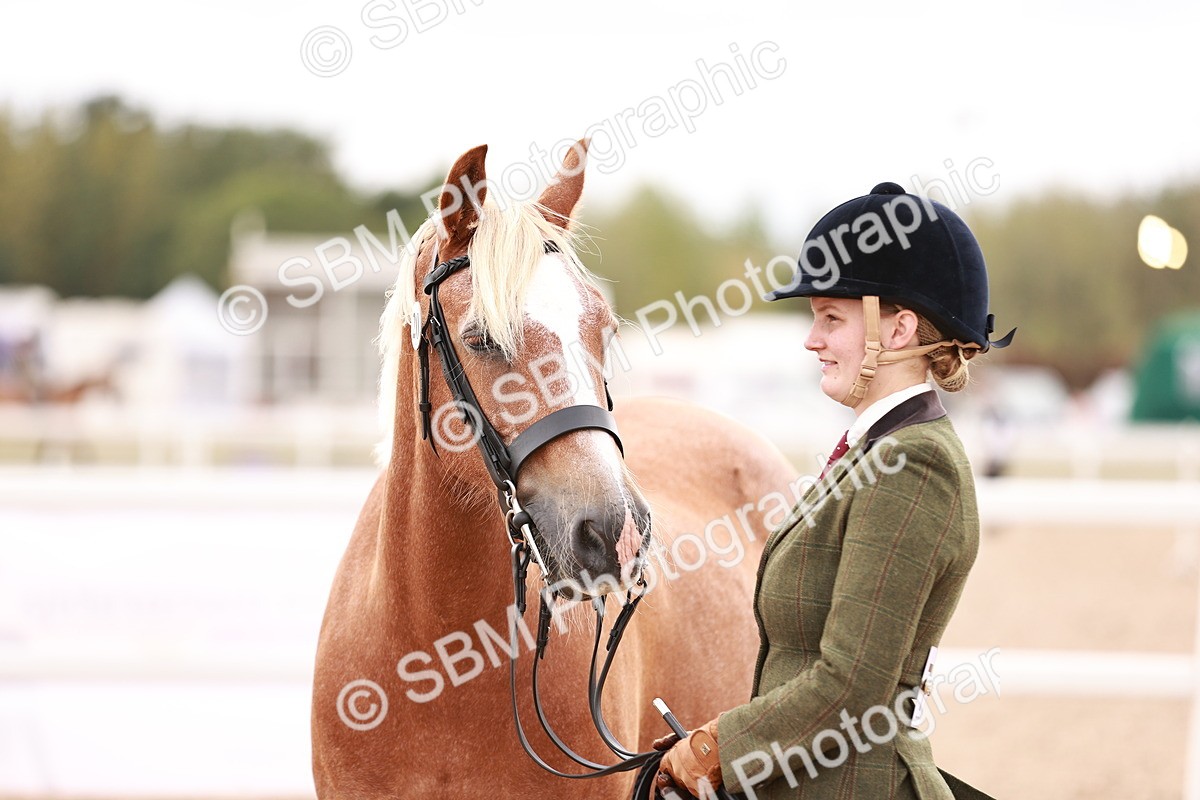 SBM_16345 - Class 413 - Best Condition - Adult