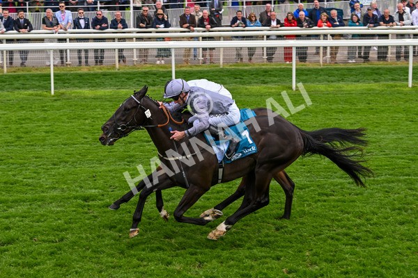 160524-Race 6-Andesite-6700 - Race 6 4.45pm Frank Whittle Partnership ebfstallions.com Novice Stakes