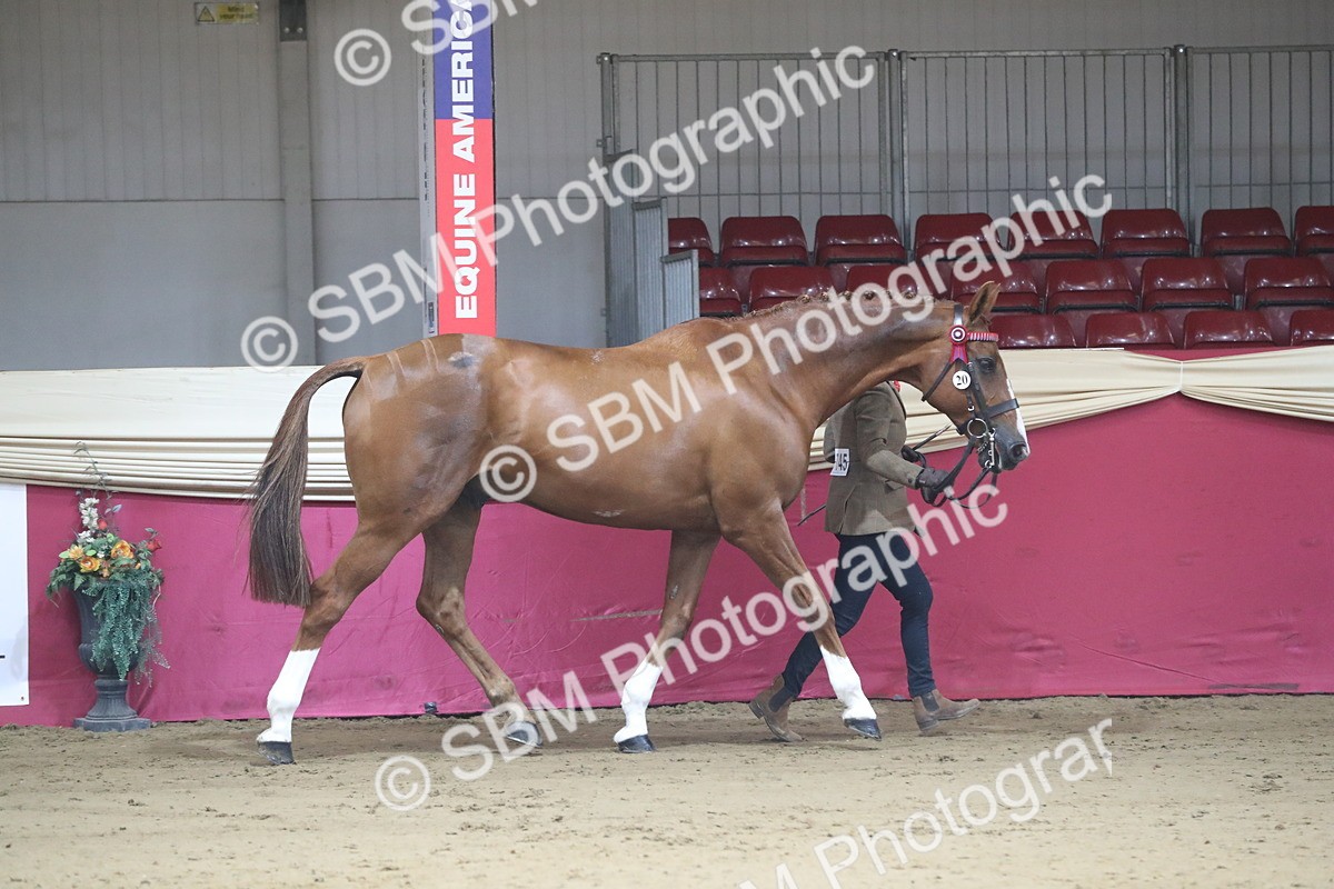 SBM_00513 - class 2a Area IH Veteran